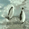 blog-1202948706.gif