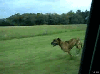 blog-1219797104.gif